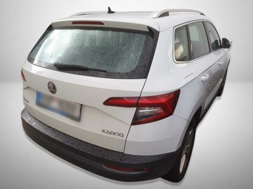 Škoda Karoq, 2019