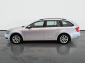 Škoda Octavia, 2019