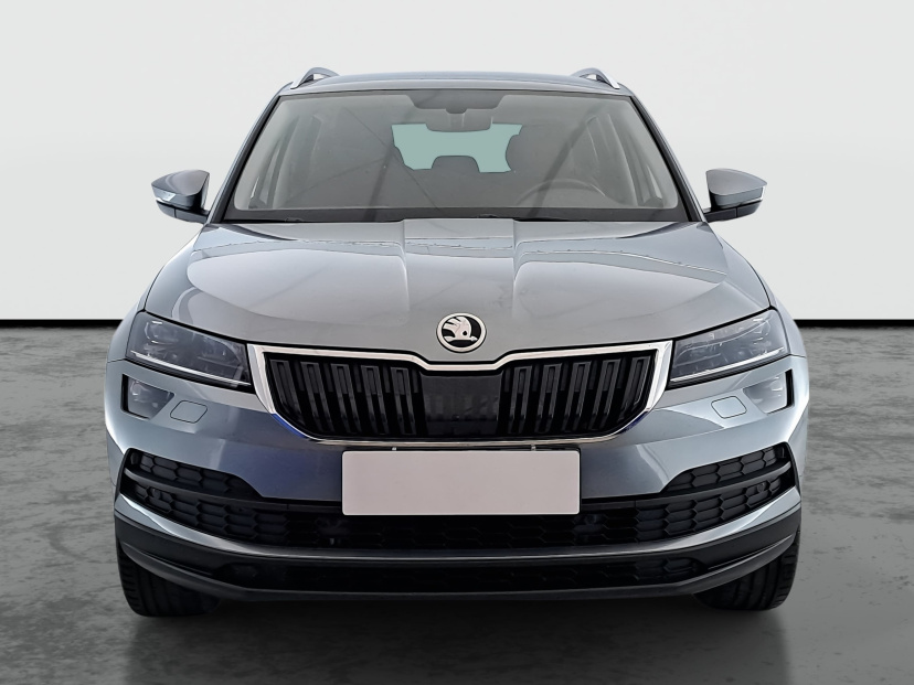 Škoda Karoq, 2019