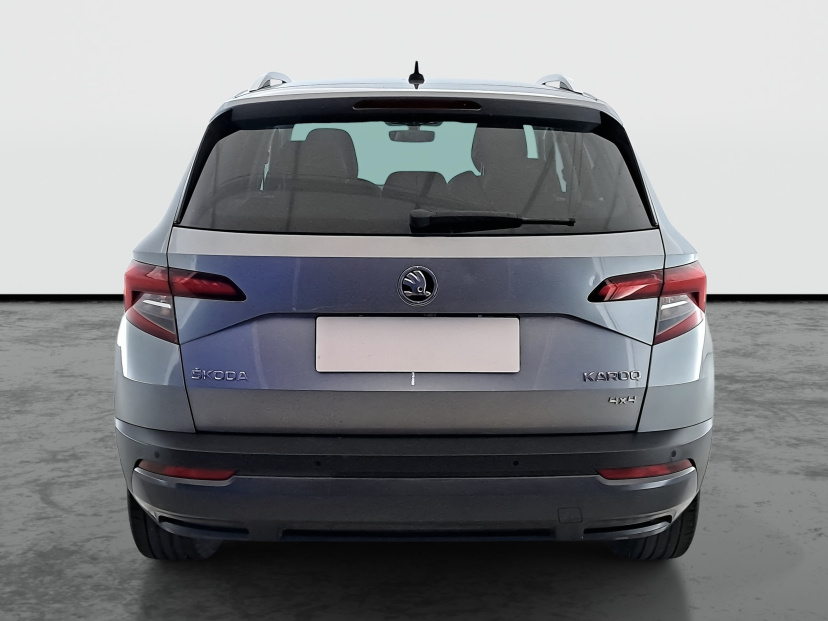 Škoda Karoq, 2019