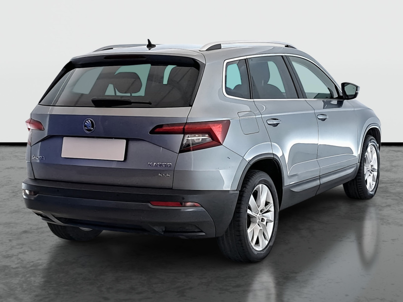 Škoda Karoq, 2019