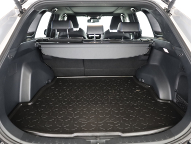 Toyota RAV 4 - 2024