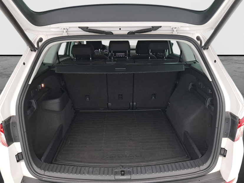 Škoda Kodiaq, 2019