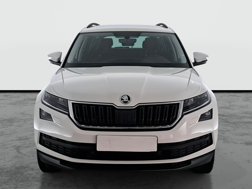 Škoda Kodiaq, 2019