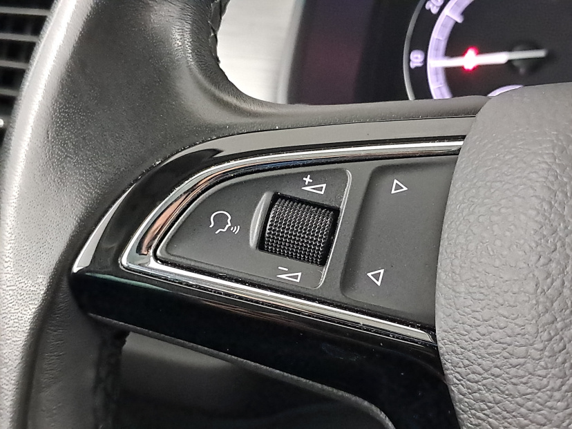 Škoda Kodiaq, 2019