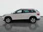 Škoda Kodiaq, 2019